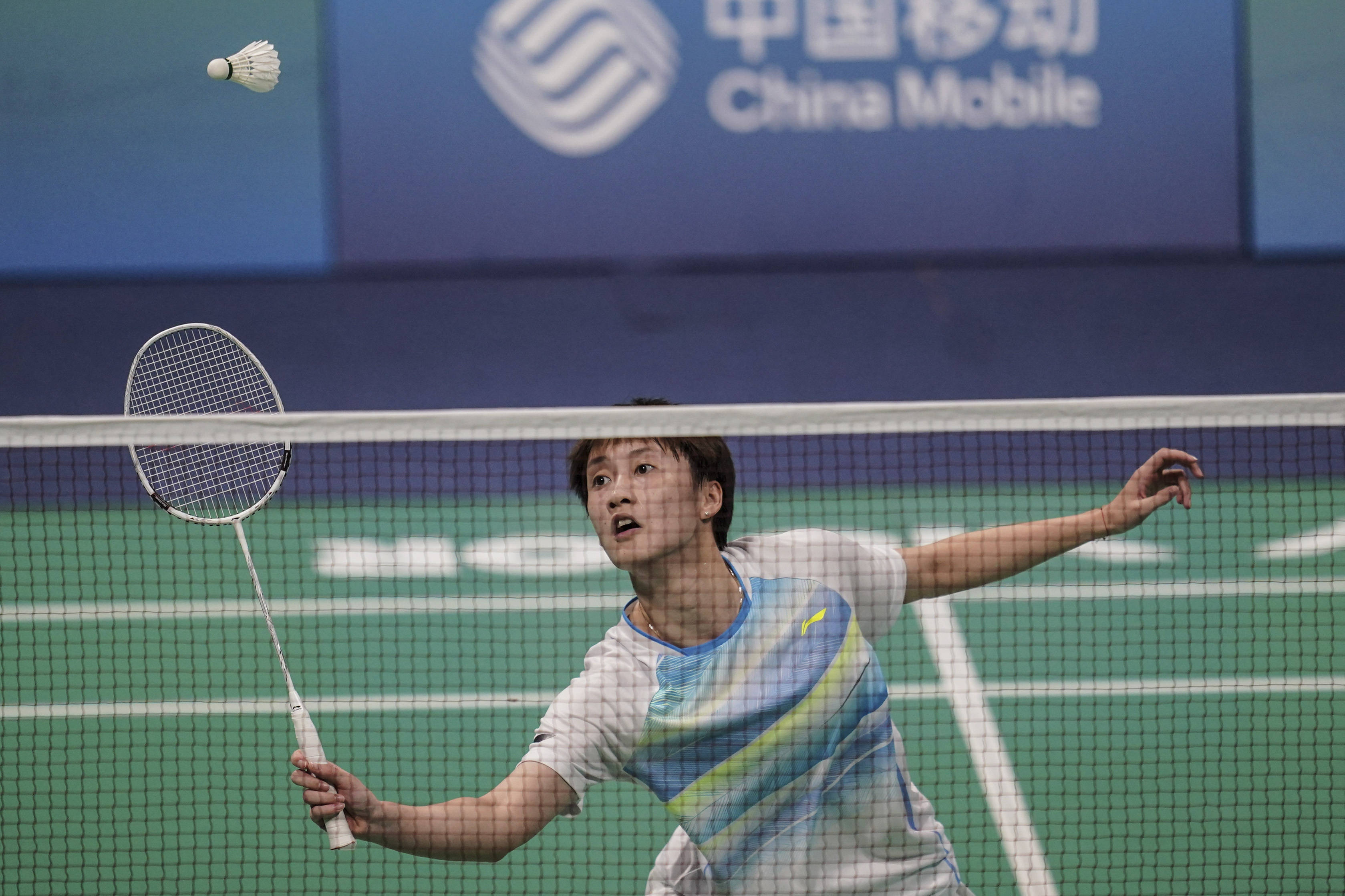 森林狼在戈 森林狼在戈